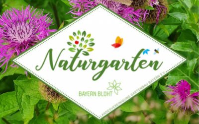 Naturgarten in Marktleugast